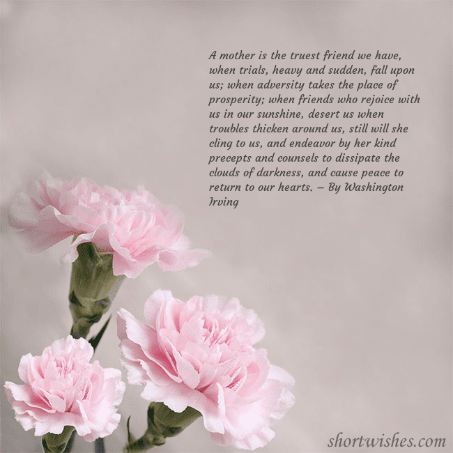 Postcard with pink carnations A mother is the truest friend we have, when trials Postcard with pink carnations