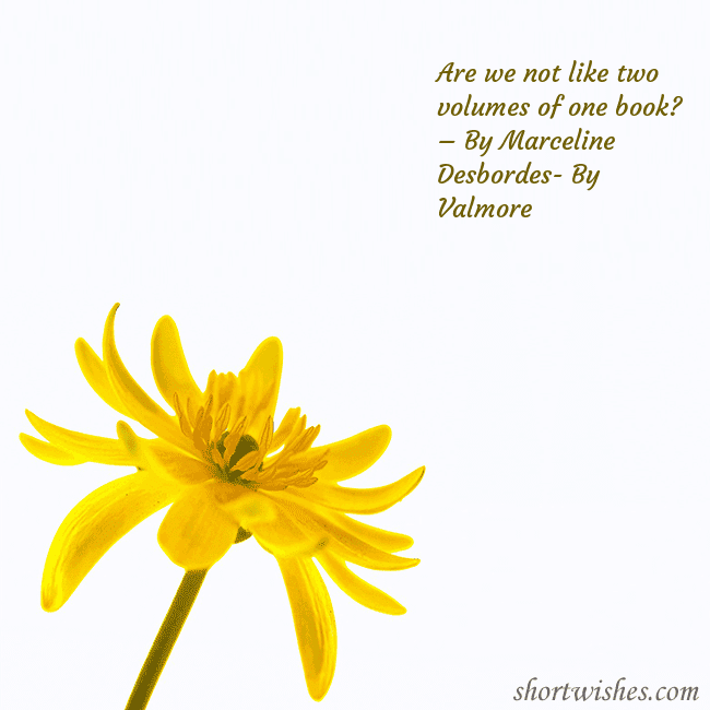 Postcard with a yellow flower