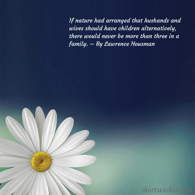 Postcard with a large daisy