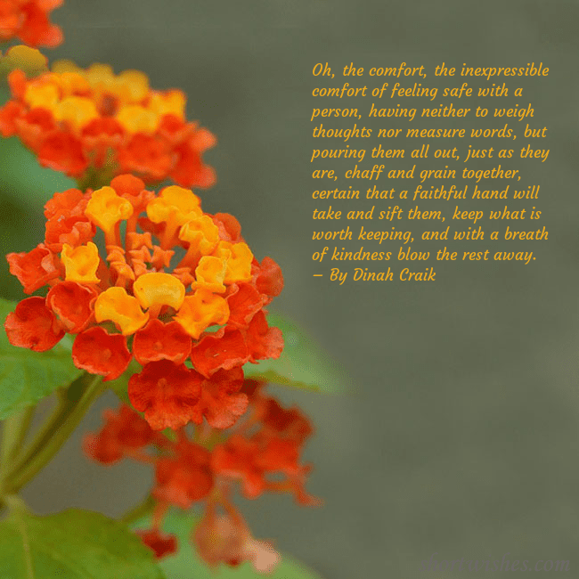 E-card with orange flowers Oh, the comfort, the inexpressible comfort of feel E-card with orange flowers
