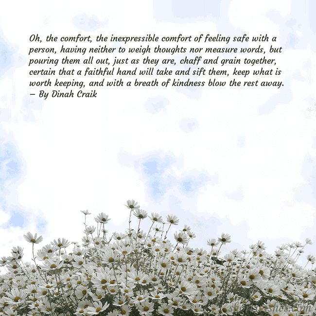 Postcard with daisies