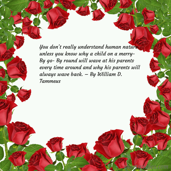roses in circle You don't really understand human nature unless yo roses in circle