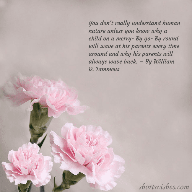 Postcard with pink carnations You don't really understand human nature unless yo Postcard with pink carnations