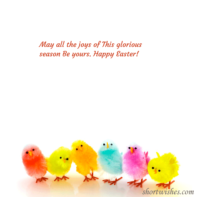 Easter greeting ecard with colorful chickens