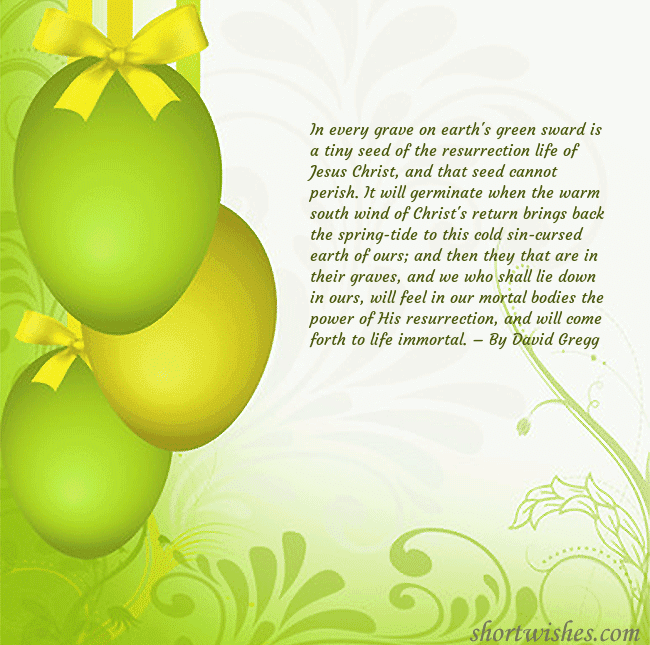 Beautiful easter greeting card