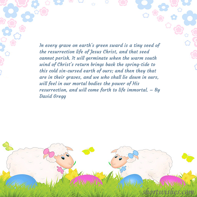 Easter ecard with sheeps