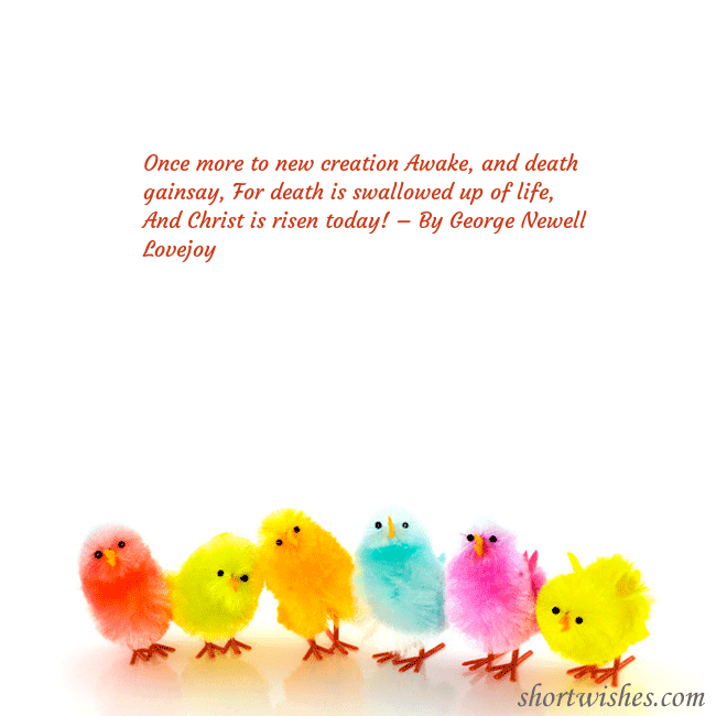 Easter greeting ecard with colorful chickens