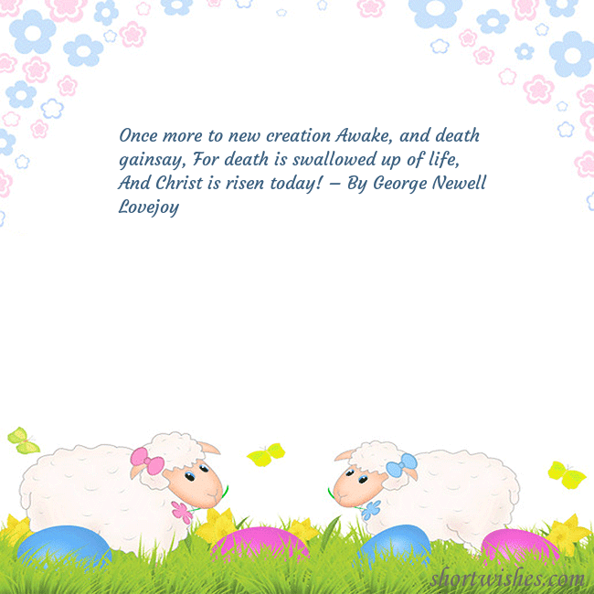 Easter ecard with sheeps