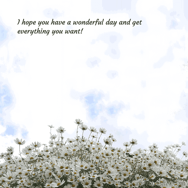 Postcard with daisies