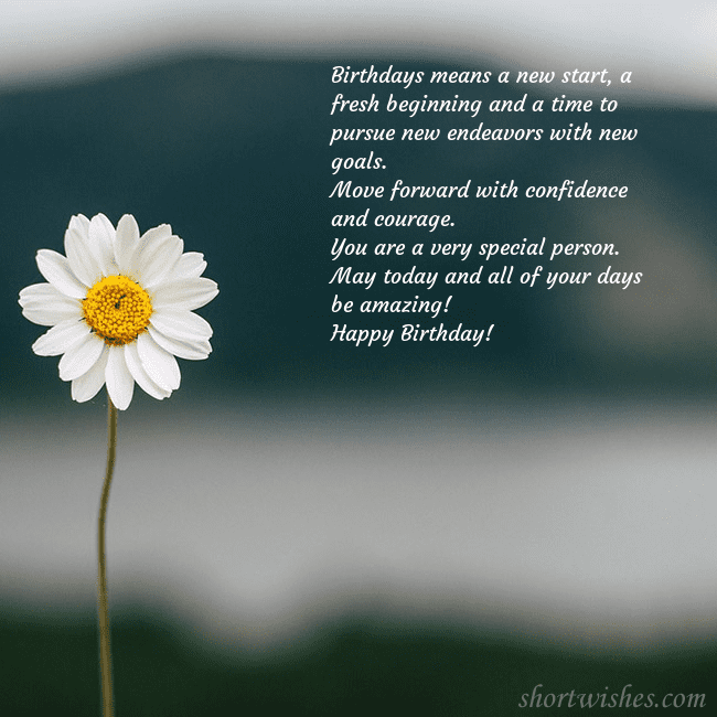 E-card with a daisy