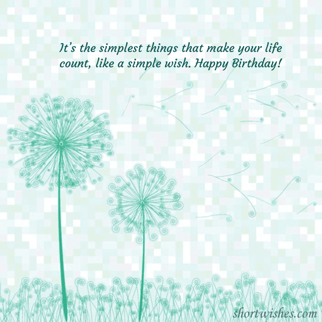 Postcard with dandelion clocks
