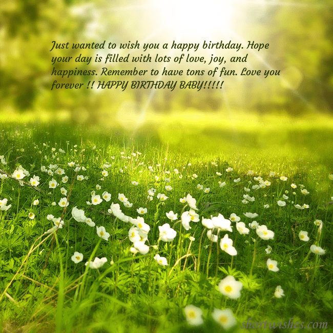 Electronic postcard with a meadow drowning in sunlight