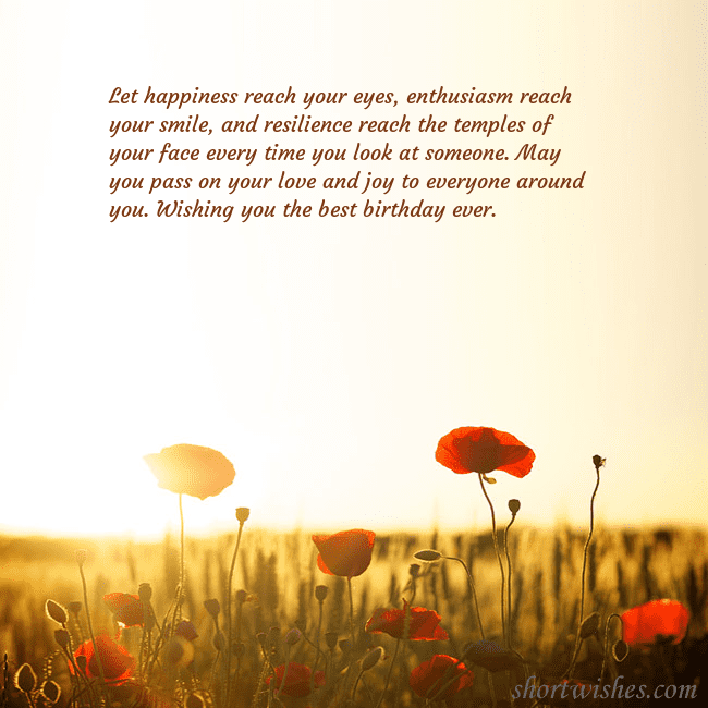 E-card with a field of poppies drowning in the sun