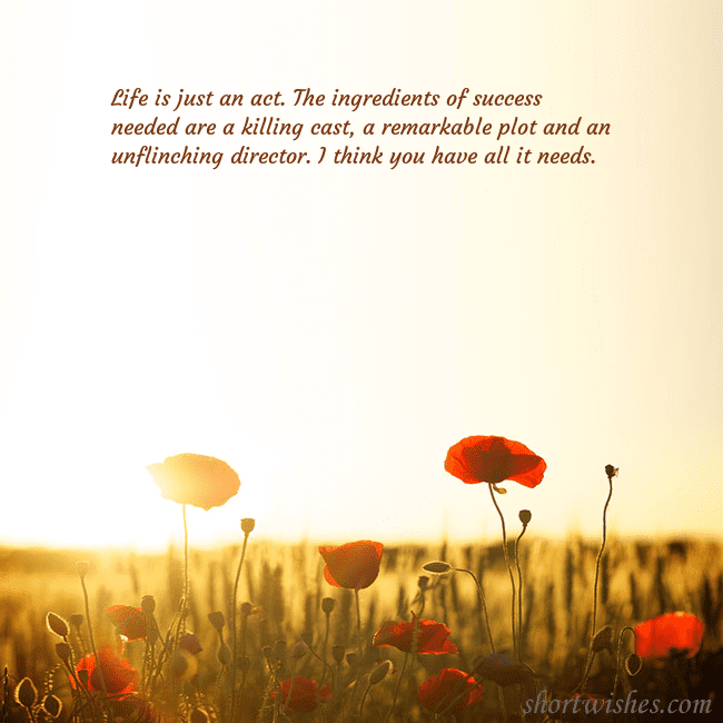 E-card with a field of poppies drowning in the sun