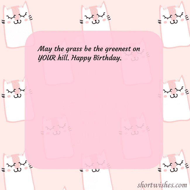 Pink postcard with funny cats
