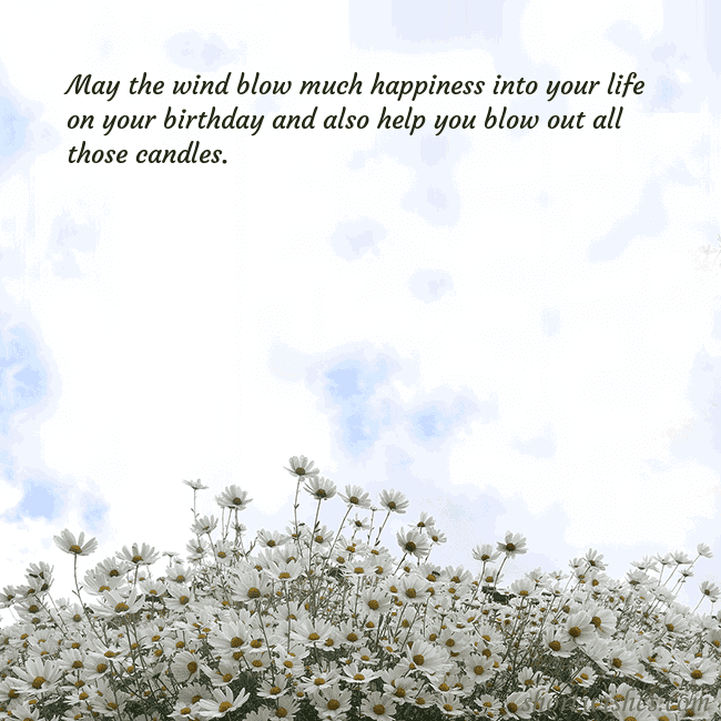 Postcard with daisies