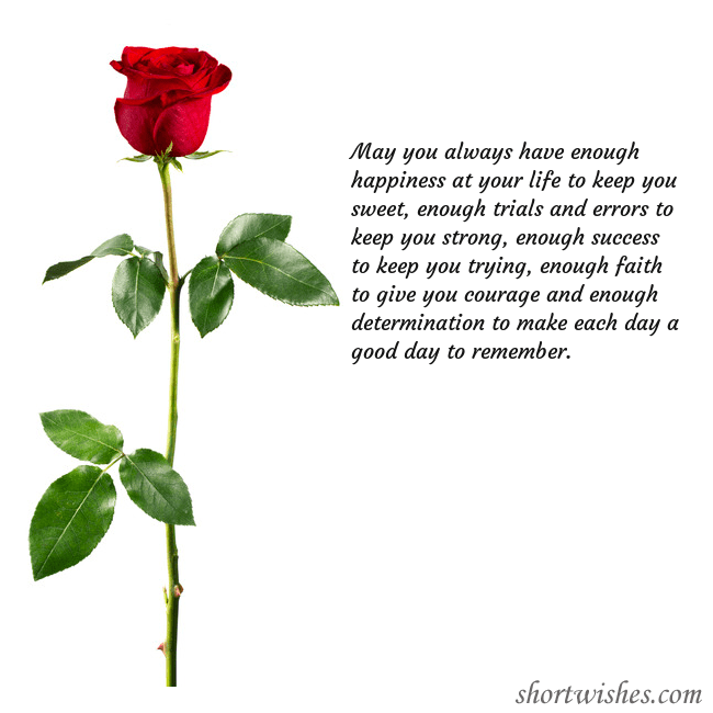 Postcard with a red rose