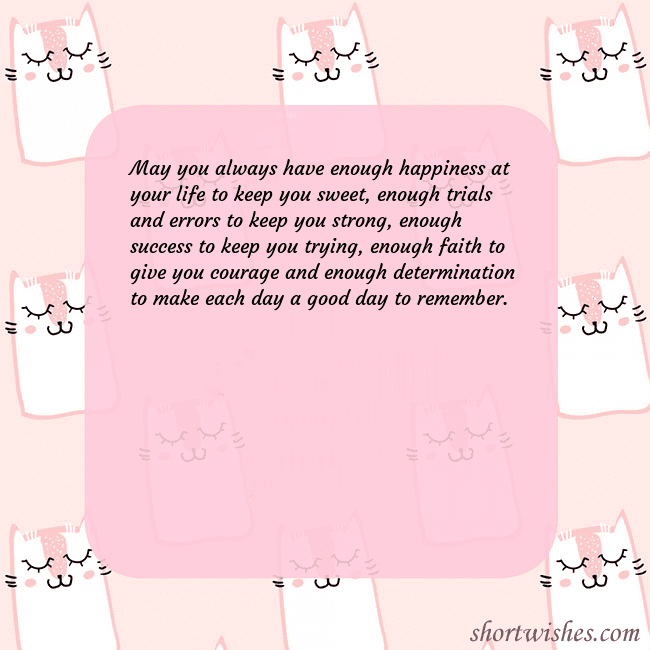 Pink postcard with funny cats