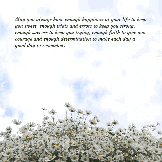 Postcard with daisies
