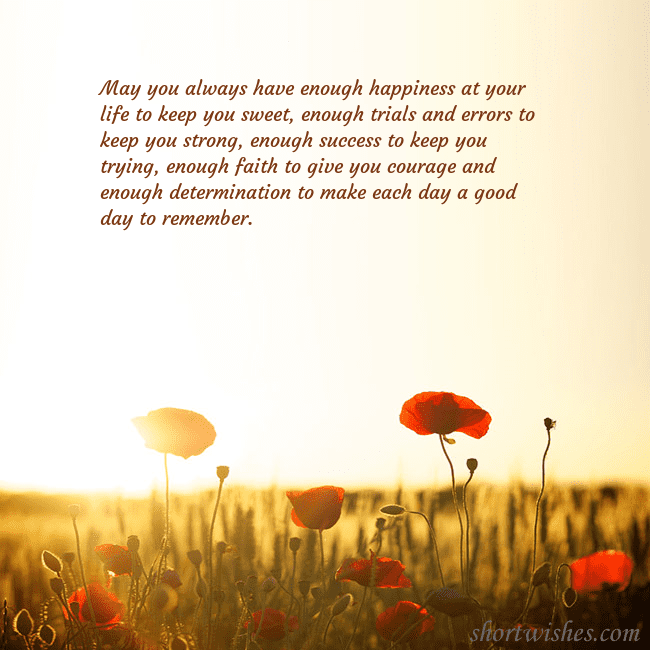 E-card with a field of poppies drowning in the sun