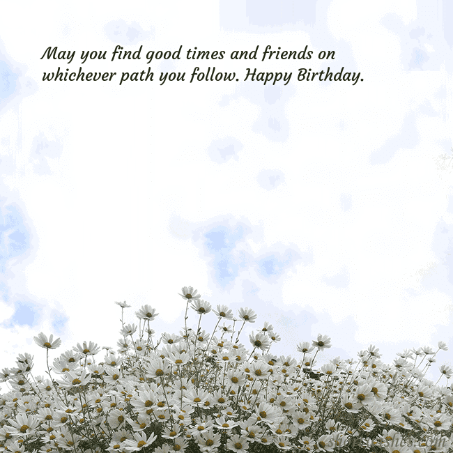 Postcard with daisies