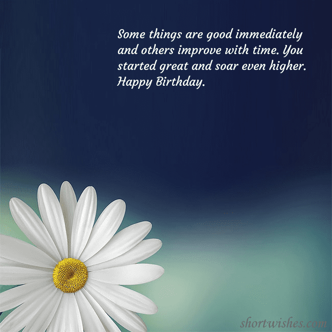 Postcard with a large daisy