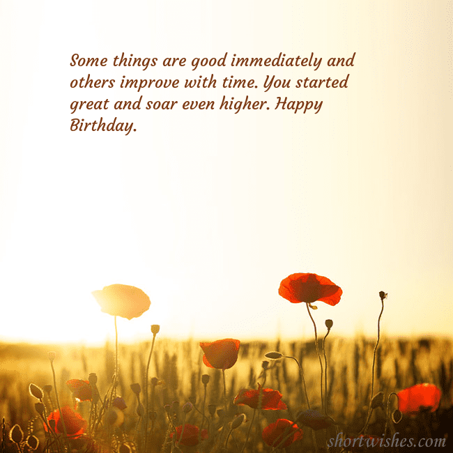 E-card with a field of poppies drowning in the sun