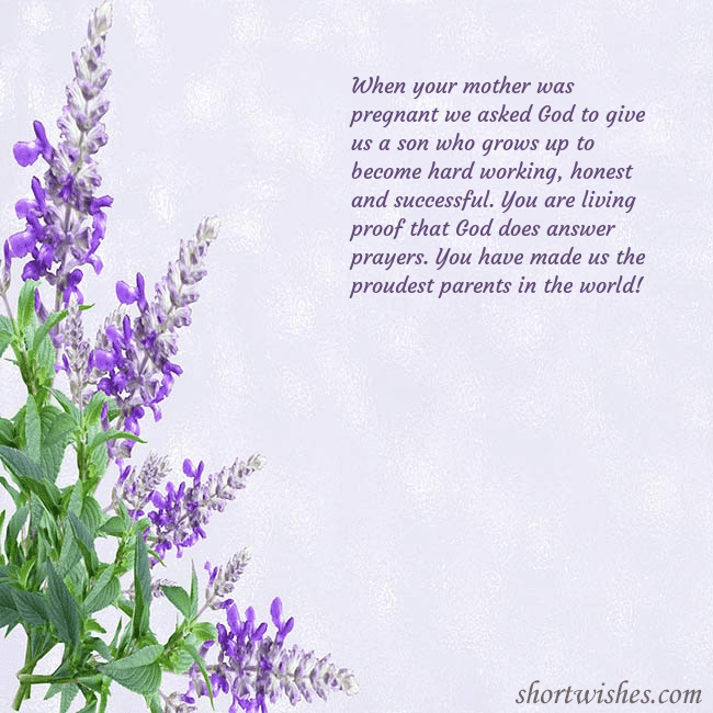 Postcard with lupins
