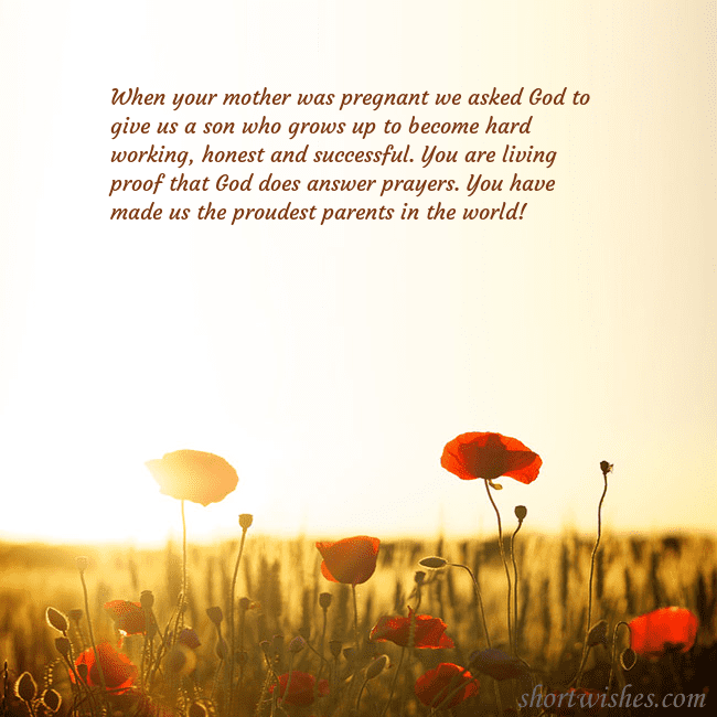 E-card with a field of poppies drowning in the sun