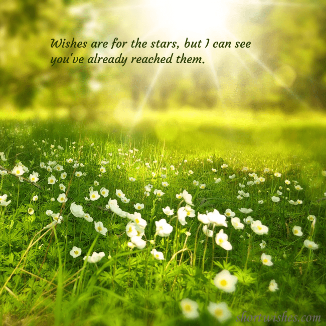 Electronic postcard with a meadow drowning in sunlight