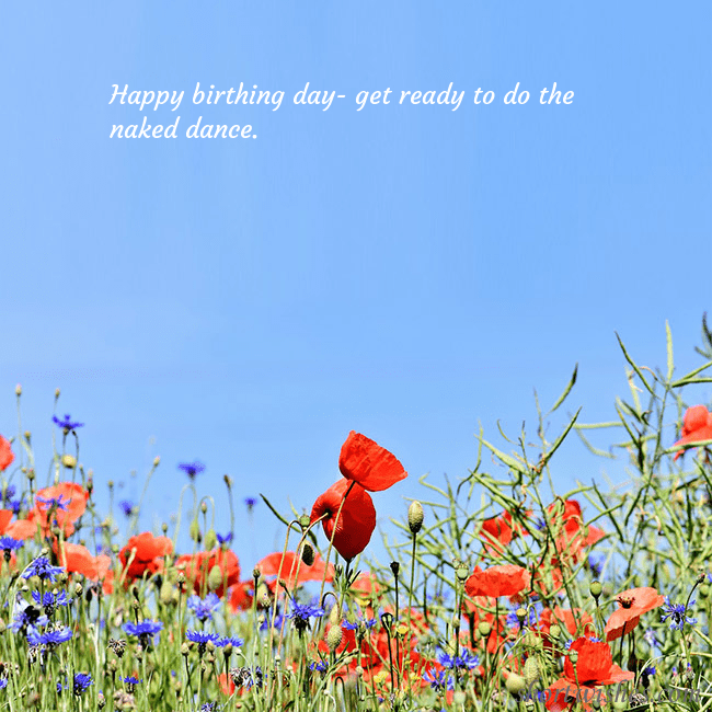 Birthday card with poppies