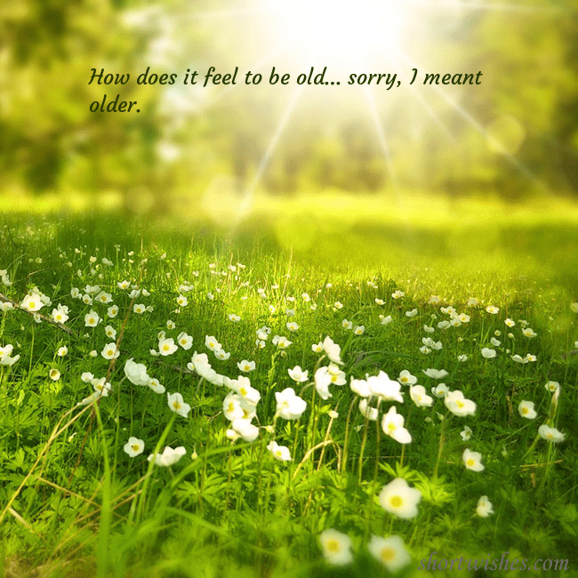 Electronic postcard with a meadow drowning in sunlight