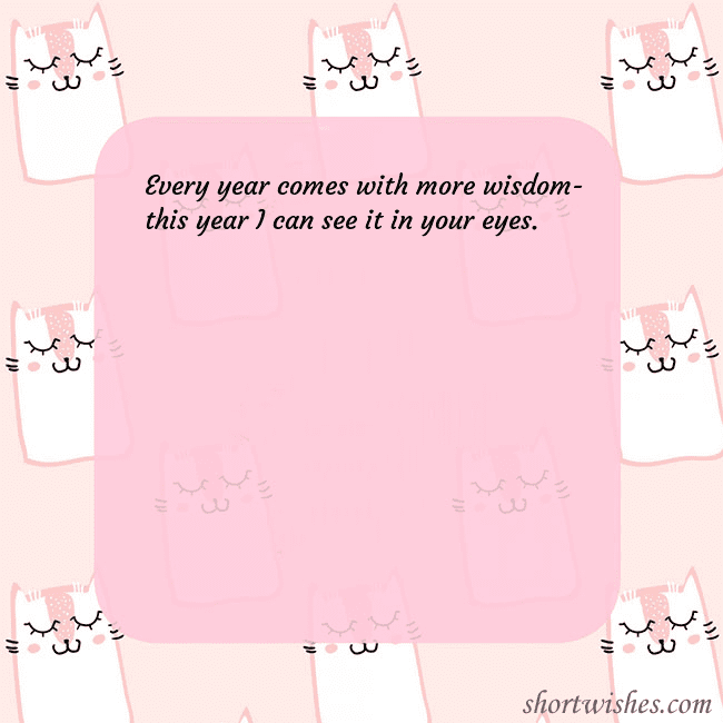 Pink postcard with funny cats