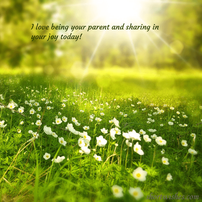 Electronic postcard with a meadow drowning in sunlight