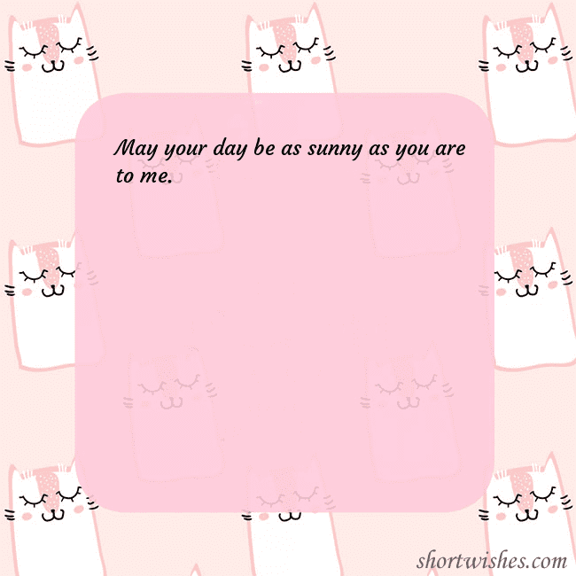 Pink postcard with funny cats