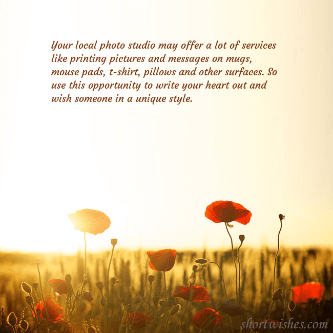 E-card with a field of poppies drowning in the sun