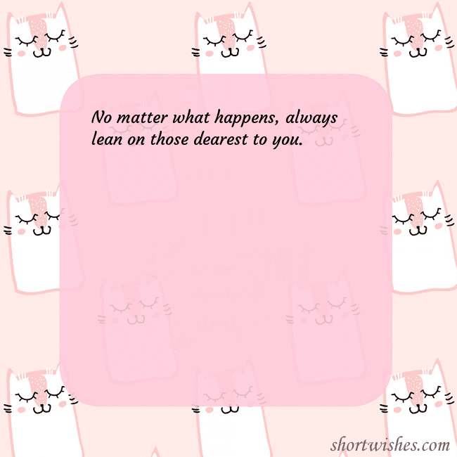 Pink postcard with funny cats