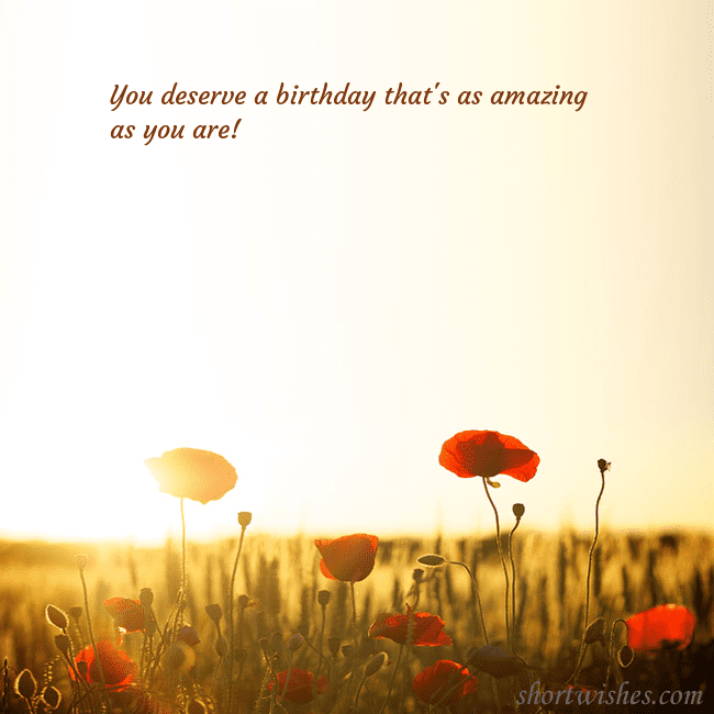 E-card with a field of poppies drowning in the sun