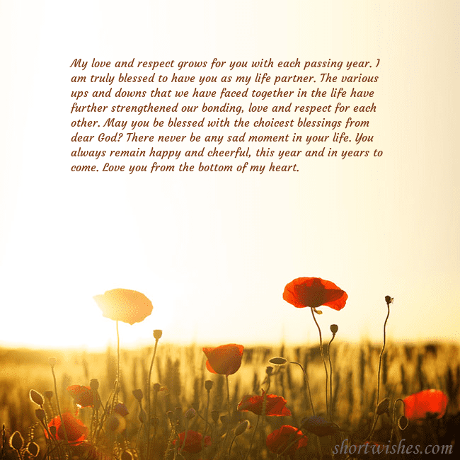 E-card with a field of poppies drowning in the sun