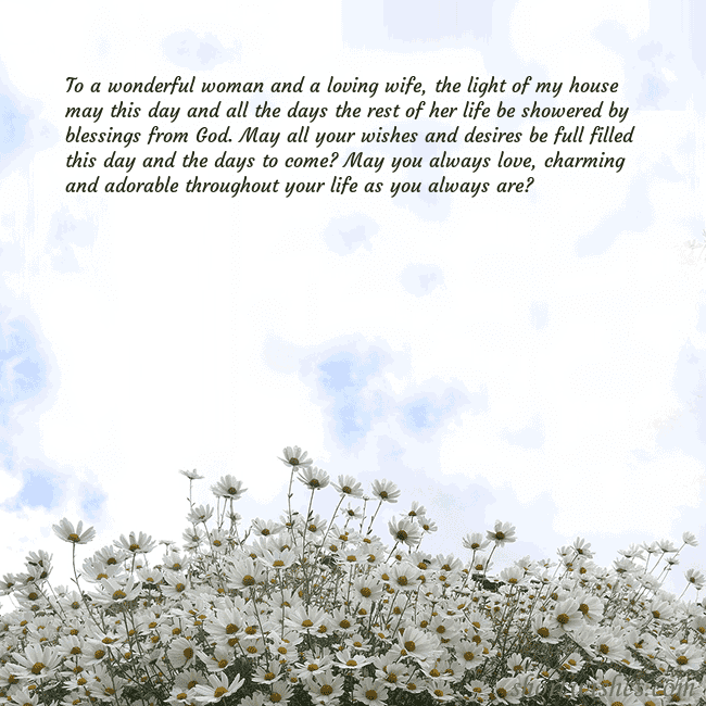 Postcard with daisies