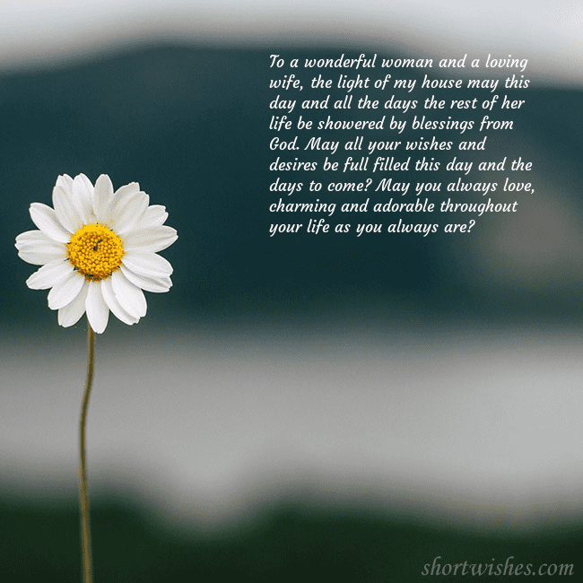 E-card with a daisy