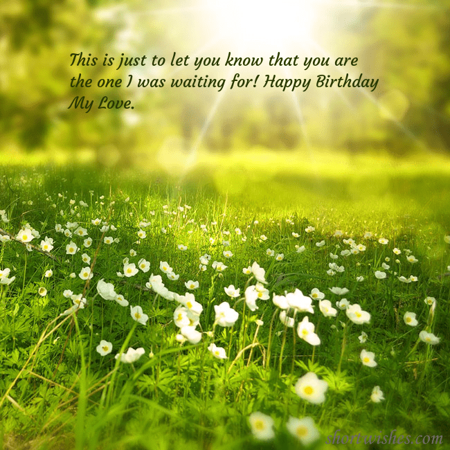 Electronic postcard with a meadow drowning in sunlight