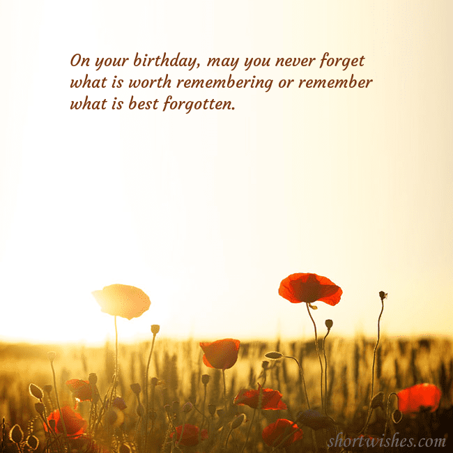 E-card with a field of poppies drowning in the sun