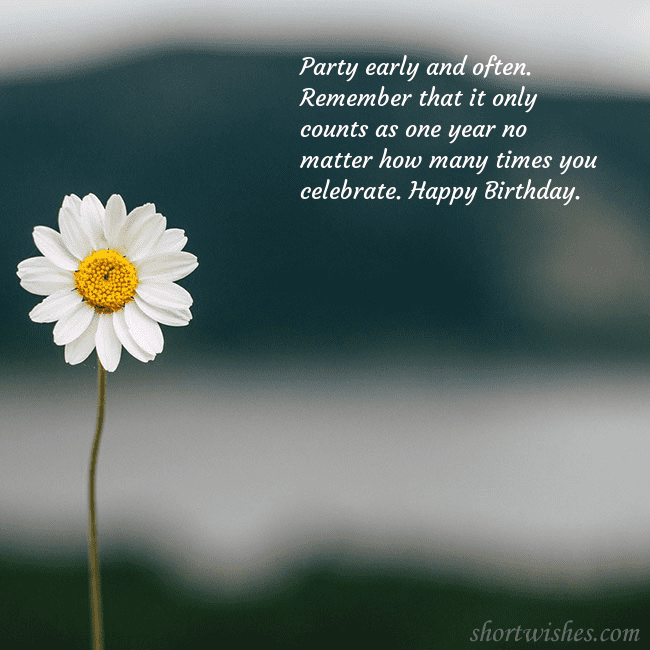 E-card with a daisy