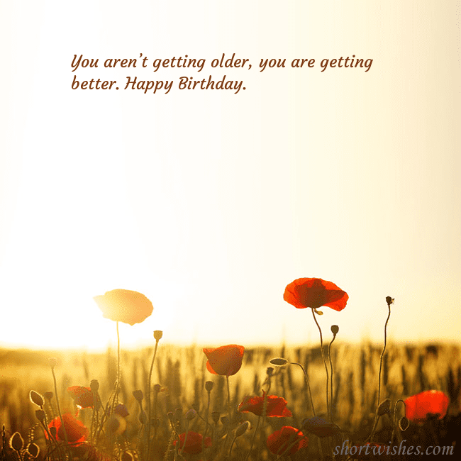 E-card with a field of poppies drowning in the sun