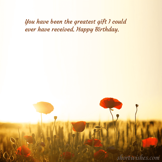 E-card with a field of poppies drowning in the sun