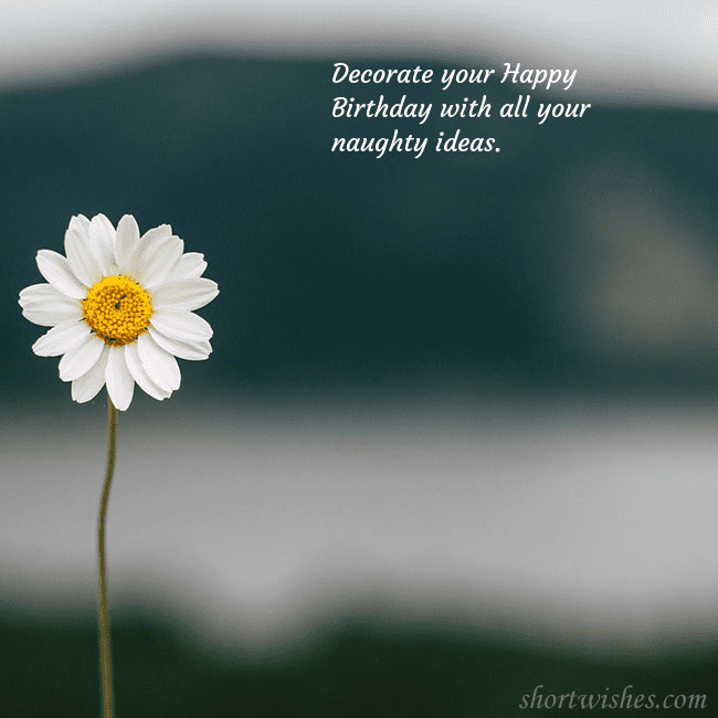 E-card with a daisy