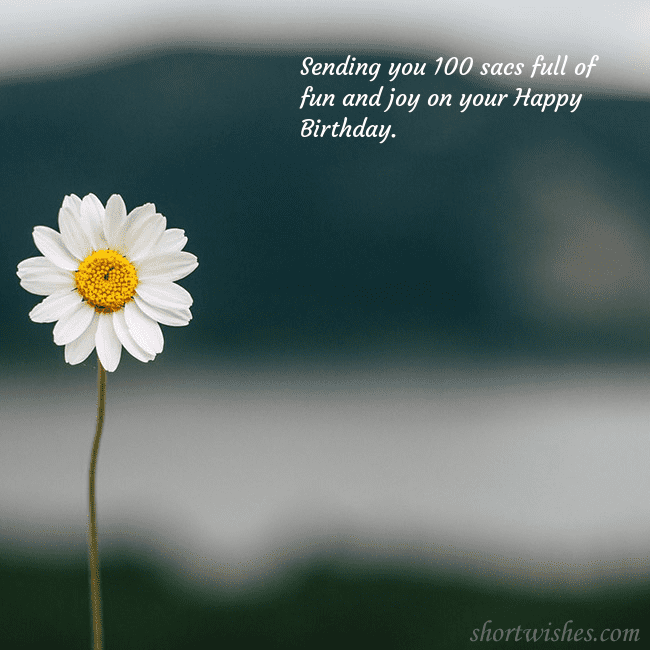 E-card with a daisy