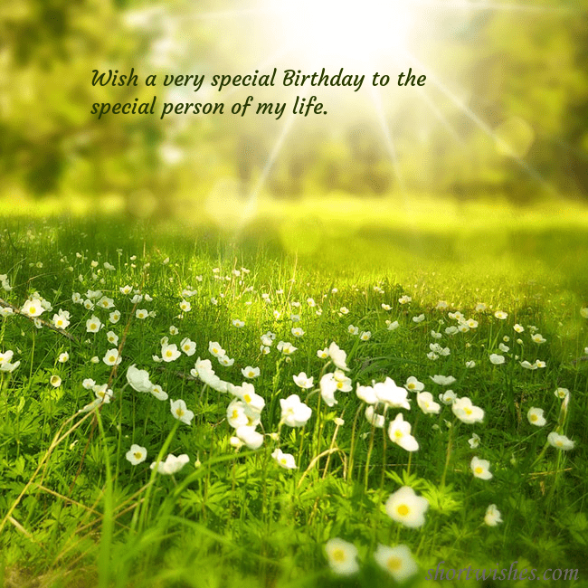 Electronic postcard with a meadow drowning in sunlight