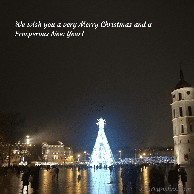 Postcard with a Christmas tree near the cathedral